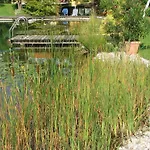 Appartement Kremsbrucker Klagenfurt am Woerthersee