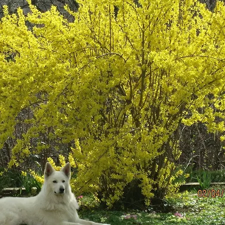 Lejlighed Kremsbrucker Klagenfurt am Woerthersee