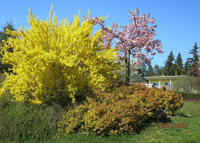 Apartament Kremsbrucker *