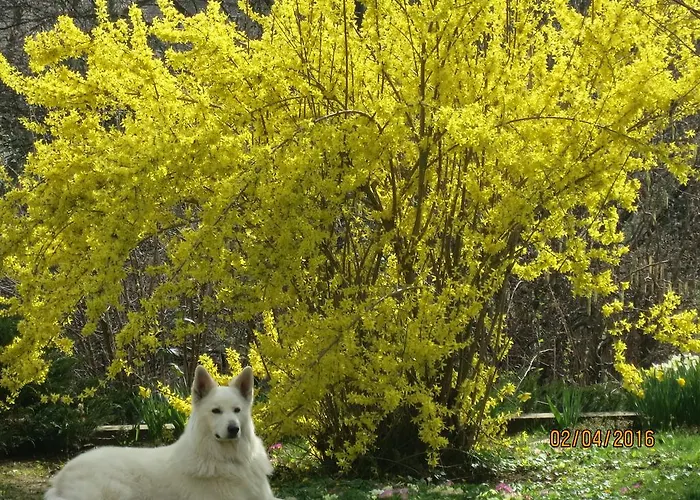 Apartment Kremsbrucker Klagenfurt am Woerthersee